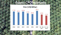 Setahun Sudah CPO RI “Dikerjain” India, Saatnya Membalas?