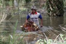 Kemtan dorong hilirisasi produk sawit dengan usulan insentif pembebasan pajak