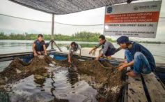 Perusahaan Harus Berkontribusi Besar Bagi Bontang