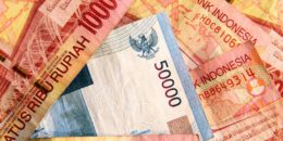 Ekonom: Sumber Pendapatan Belum Digali Maksimal