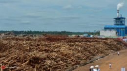 Indef: Tiga Kendala Penerapan Super Deduction Tax