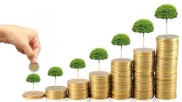 Ditjen Pajak : Wacana PPh Bunga Obligasi 0 Persen adalah Salah Kutip