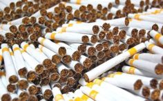 Berantas Rokok Ilegal, Dongkrak Cukai