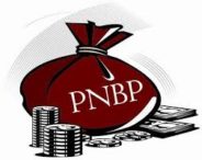 PNBP Bakal Menopang Rasio Pajak 2020