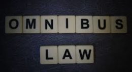 Omnibus Law Diharapkan Bisa Meningkatkan Penerimaan Pajak Nasional