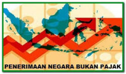 Ini penyebab Penerimaan Negara Bukan Pajak (PNBP) Januari diprediksi susut