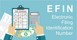 Ditjen Pajak Akan Ganti EFIN dengan OTP, Apa Itu?