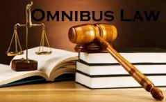 Omnibus Law Perpajakan atur rasionalisasi pajak daerah dan evaluasi perda