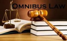 Ketua Apindo: Omnibus Law Tak Hanya soal Buruh & Pengusaha, tapi Lapangan Kerja