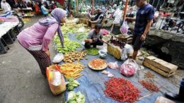 Pelaku Usaha Butuh Kepastian Relaksasi Impor Buah dan Sayur