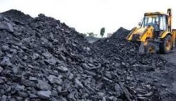 Batubara jadi barang kena pajak di UU Cipta Kerja, begini penjelasannya