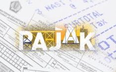 Pemerintah beri insentif pajak untuk investasi di KEK, ini kata pengamat