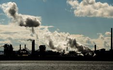 Pajak Karbon, Industri Petrokimia Akan Sulit Bersaing Harga | Ekonomi