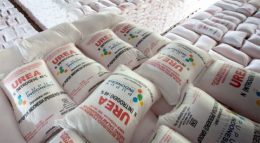 Pupuk Indonesia Setor Pajak dan Dividen Rp 8,25 Triliun