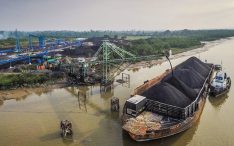 Pengusaha Batu Bara Ingin Pembahasan Pajak Karbon Ditunda