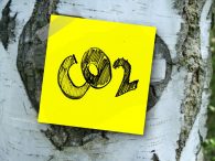 APBI: Pengusaha Lebih Memilih untuk Memonetisasi Karbon