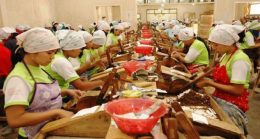 Hadapi Tekanan Hebat, Industri Hasil Tembakau Butuh Perlindungan Negara