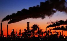 Pemerintah Diimbau Sosialisasikan Mekanisme Penerapan Pajak Karbon