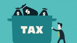 Realisasi penerimaan pajak tumbuh 9,5% pada Januari-Agustus 2021