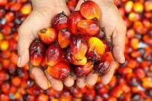 Target Penerimaan Perpajakan Rp1.510 Triliun di 2022