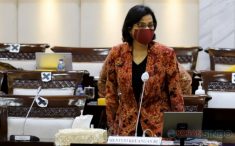 Kantongi Rp2,5 Triliun, Sri Mulyani Tambah Lagi Perusahaan Pemungut Pajak Digital