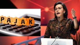 Punya NPWP Musti Bayar Pajak? Sri Mulyani: Nggak Juga