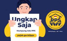 PPS Sisa Dua Hari, Perolehan PPh Baru Rp39,5 Triliun