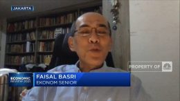 Tangkal Krisis Batu Bara, Faisal Basri: Kenakan Pajak Ekspor!