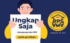 Program Tax Amnesty Jilid II Berakhir, DJP: Ciri Orang Indonesia Last Minutes