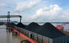Jokowi Bakal Atur Ulang Pajak IUPK dan HBA Batu Bara