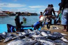 Komisi IV DPR Soroti Pajak Tangkapan Ikan yang Rugikan Nelayan