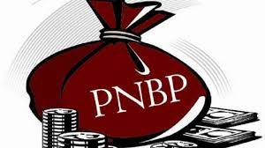 Bank BUMN Menyumbang PNBP Paling Dominan