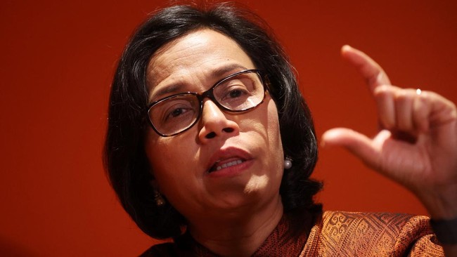 Cihuy! Sistem Pajak Canggih dari Sri Mulyani Meluncur 2024