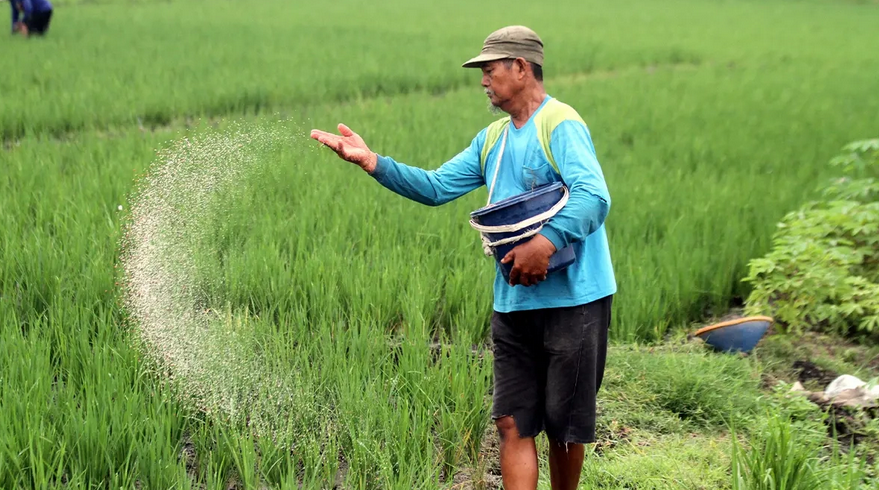 Cegah Alih Fungsi Lahan Sawah, Pemkab Didesak Beri Insentif Pajak