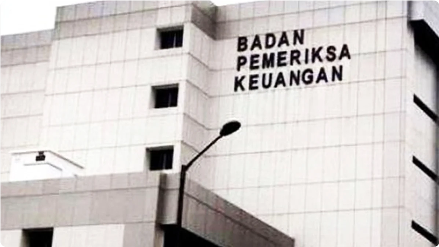 BPK Temukan 2 Pelaku Usaha yang Tak Layak Dapat Tax Holiday